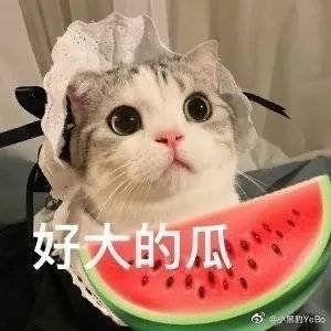 网红在线吃瓜的意义 第1张 网红在线吃瓜的意义 第1张