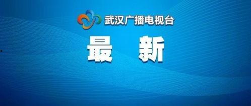 武汉爆料最新新闻报道,聚焦城市动态与民生焦点 第3张 武汉爆料最新新闻报道,聚焦城市动态与民生焦点 第3张